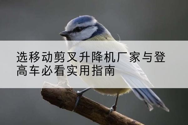 临潭电动升降机厂家-选移动剪叉升降机厂家与登高车必看实用指南