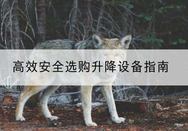临潭升降货梯厂家推荐-*安全选购升降设备指南