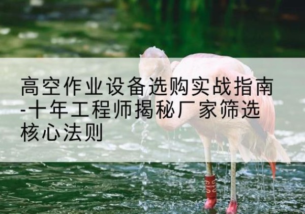 临潭剪叉式升降机厂家-高空作业设备选购实战指南-十年工程师揭秘厂家筛选核心法则